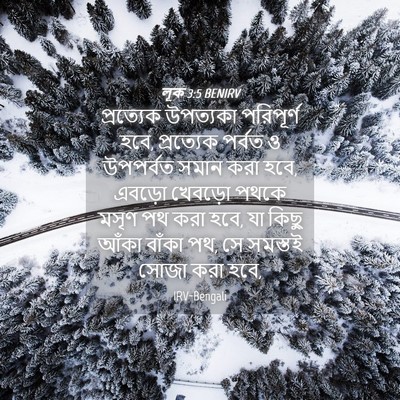 Picture 04 - লূক 3:5 BENIRV - প্রত্যেক উপত্যকা - Bible Verse Picture