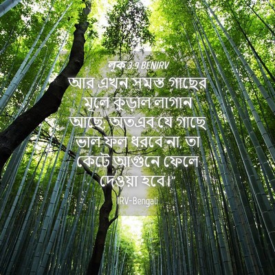 Picture 04 - লূক 3:9 BENIRV - আর এখন সমস্ত গাছের - Bible Verse Picture