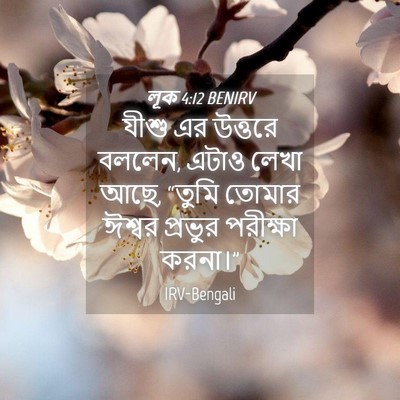 Picture 04 - লূক 4:12 BENIRV - যীশু এর উত্তরে - Bible Verse Picture