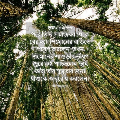 Picture 04 - লূক 4:38 BENIRV - পরে তিনি সমাজঘর - Bible Verse Picture