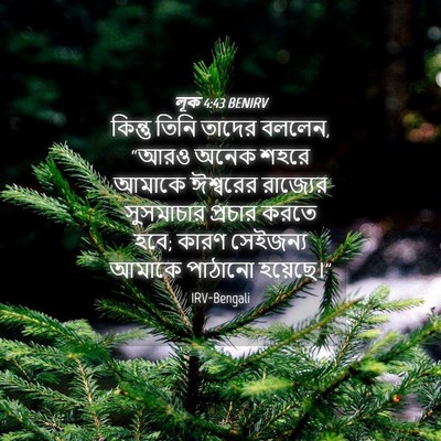 Picture 04 - লূক 4:43 BENIRV - কিন্তু তিনি তাদের - Bible Verse Picture