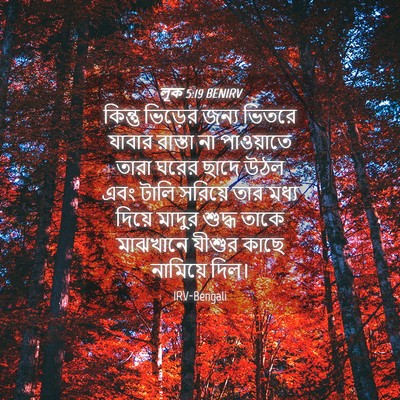 Picture 04 - লূক 5:19 BENIRV - কিন্তু ভিড়ের - Bible Verse Picture