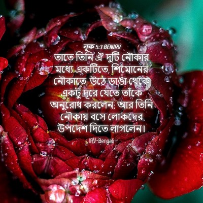 Picture 04 - লূক 5:3 BENIRV - তাতে তিনি ঐ দুটি - Bible Verse Picture