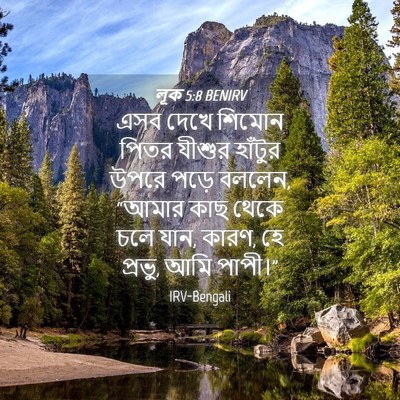 Picture 04 - লূক 5:8 BENIRV - এসব দেখে শিমোন - Bible Verse Picture