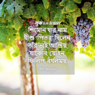 Picture 04 - লূক 6:14 BENIRV - শিমোন যার নাম যীশু - Bible Verse Picture