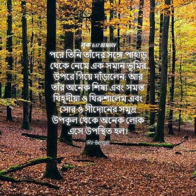 Picture 04 - লূক 6:17 BENIRV - পরে তিনি তাঁদের - Bible Verse Picture