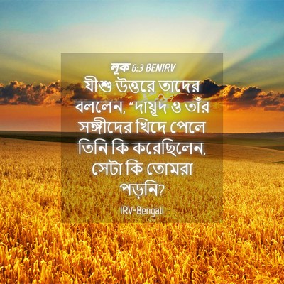 Picture 04 - লূক 6:3 BENIRV - যীশু উত্তরে তাদের - Bible Verse Picture