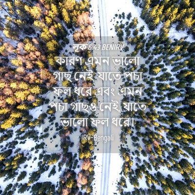 Picture 04 - লূক 6:43 BENIRV - কারণ এমন ভালো গাছ - Bible Verse Picture
