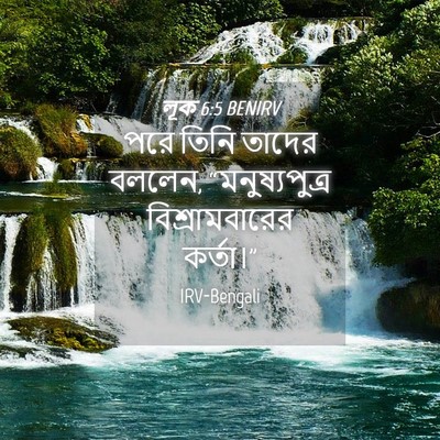 Picture 04 - লূক 6:5 BENIRV - পরে তিনি তাদের - Bible Verse Picture