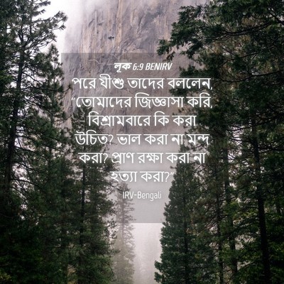 Picture 04 - লূক 6:9 BENIRV - পরে যীশু তাদের - Bible Verse Picture