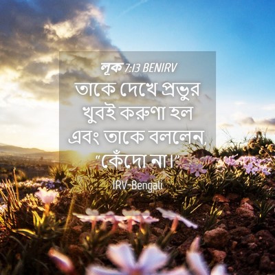 Picture 04 - লূক 7:13 BENIRV - তাকে দেখে প্রভুর - Bible Verse Picture
