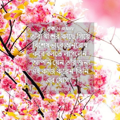 Picture 04 - লূক 7:4 BENIRV - তাঁরা যীশুর কাছে - Bible Verse Picture