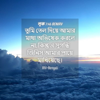 Picture 04 - লূক 7:46 BENIRV - তুমি তেল দিয়ে - Bible Verse Picture