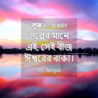Picture 04 - লূক 8:11 BENIRV - গল্পের মানে এই; সেই - Bible Verse Picture