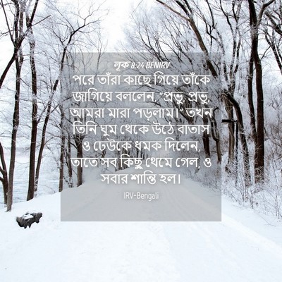 Picture 04 - লূক 8:24 BENIRV - পরে তাঁরা কাছে - Bible Verse Picture