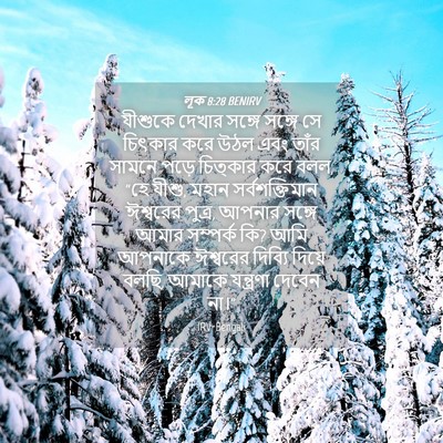 Picture 04 - লূক 8:28 BENIRV - যীশুকে দেখার - Bible Verse Picture