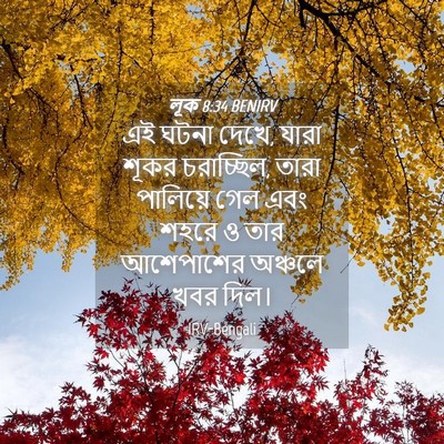 Picture 04 - লূক 8:34 BENIRV - এই ঘটনা দেখে, যারা - Bible Verse Picture