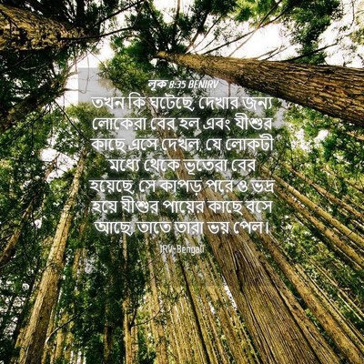 Picture 04 - লূক 8:35 BENIRV - তখন কি ঘটেছে, দেখার - Bible Verse Picture