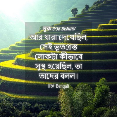 Picture 04 - লূক 8:36 BENIRV - আর যারা দেখেছিল, - Bible Verse Picture