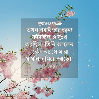 Picture 04 - লূক 8:52 BENIRV - তখন সবাই তার জন্য - Bible Verse Picture