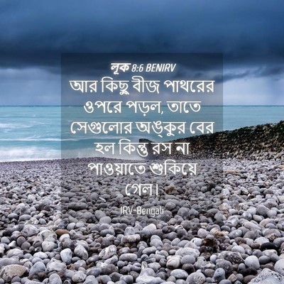 Picture 04 - লূক 8:6 BENIRV - আর কিছু বীজ পাথরের - Bible Verse Picture