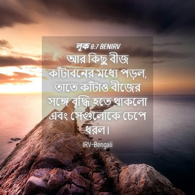 Picture 04 - লূক 8:7 BENIRV - আর কিছু বীজ - Bible Verse Picture