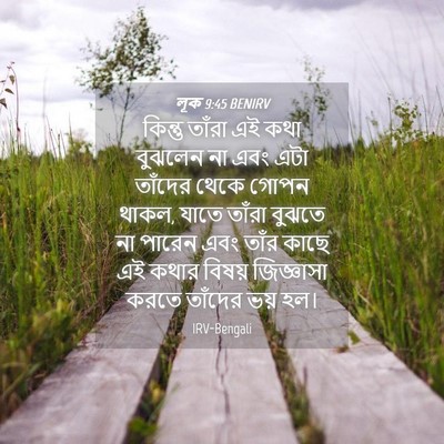 Picture 04 - লূক 9:45 BENIRV - কিন্তু তাঁরা এই - Bible Verse Picture