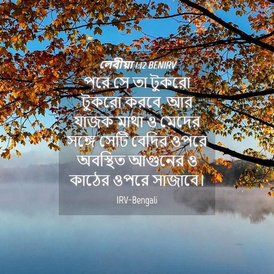 Picture 04 - লেবীয়া 1:12 BENIRV - পরে সে তা টুকরো - Bible Verse Picture