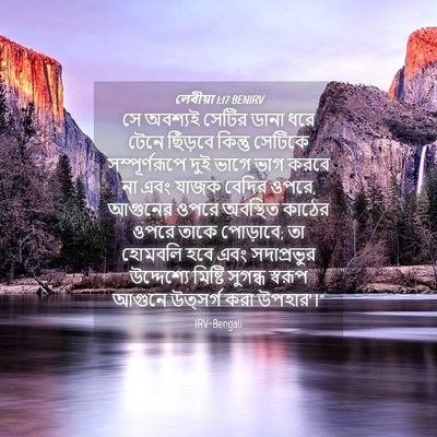 Picture 04 - লেবীয়া 1:17 BENIRV - সে অবশ্যই সেটির - Bible Verse Picture