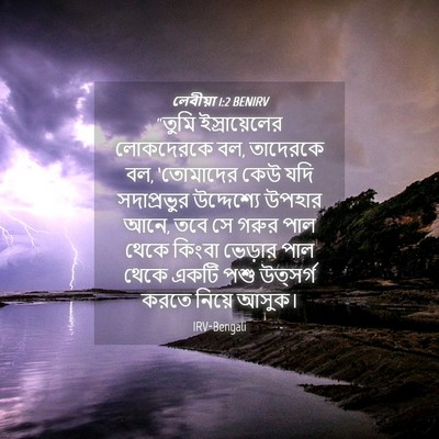 Picture 04 - লেবীয়া 1:2 BENIRV - “তুমি ইস্রায়েলের - Bible Verse Picture