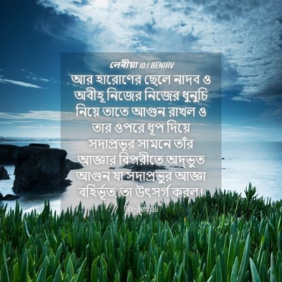 Picture 04 - লেবীয়া 10:1 BENIRV - আর হারোণের ছেলে - Bible Verse Picture