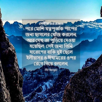 Picture 04 - লেবীয়া 10:16 BENIRV - পরে মোশি - Bible Verse Picture