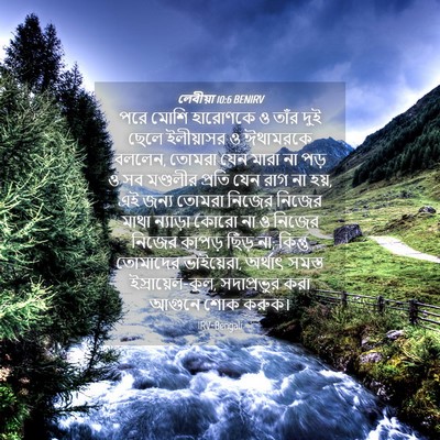 Picture 04 - লেবীয়া 10:6 BENIRV - পরে মোশি হারোণকে ও - Bible Verse Picture