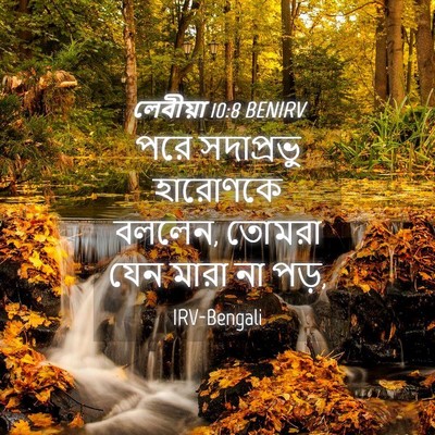 Picture 04 - লেবীয়া 10:8 BENIRV - পরে সদাপ্রভু - Bible Verse Picture