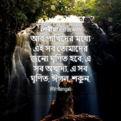 Picture 04 - লেবীয়া 11:13 BENIRV - আর পাখিদের মধ্যে - Bible Verse Picture