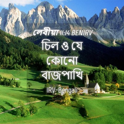 Picture 04 - লেবীয়া 11:14 BENIRV - চিল ও যে কোনো - Bible Verse Picture