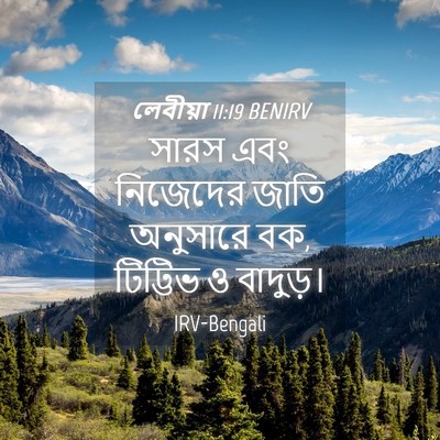 Picture 04 - লেবীয়া 11:19 BENIRV - সারস এবং নিজেদের - Bible Verse Picture