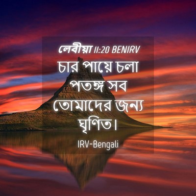 Picture 04 - লেবীয়া 11:20 BENIRV - চার পায়ে চলা - Bible Verse Picture