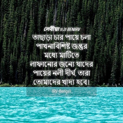 Picture 04 - লেবীয়া 11:21 BENIRV - তাছাড়া চার পায়ে - Bible Verse Picture