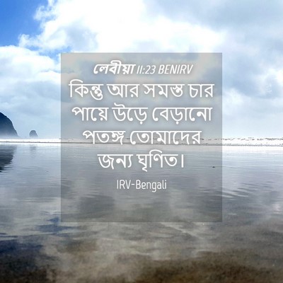 Picture 04 - লেবীয়া 11:23 BENIRV - কিন্তু আর সমস্ত - Bible Verse Picture
