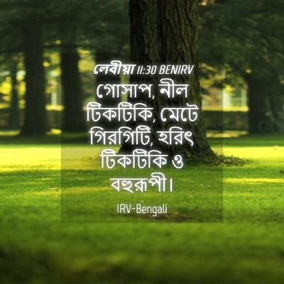 Picture 04 - লেবীয়া 11:30 BENIRV - গোসাপ, নীল টিকটিকি, - Bible Verse Picture