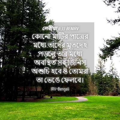 Picture 04 - লেবীয়া 11:33 BENIRV - কোনো মাটির - Bible Verse Picture