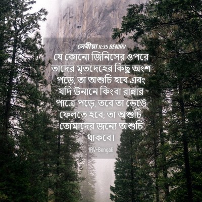 Picture 04 - লেবীয়া 11:35 BENIRV - যে কোনো জিনিসের - Bible Verse Picture