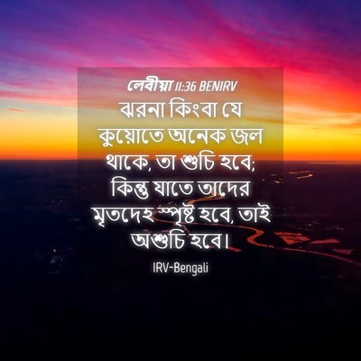 Picture 04 - লেবীয়া 11:36 BENIRV - ঝরনা কিংবা যে - Bible Verse Picture