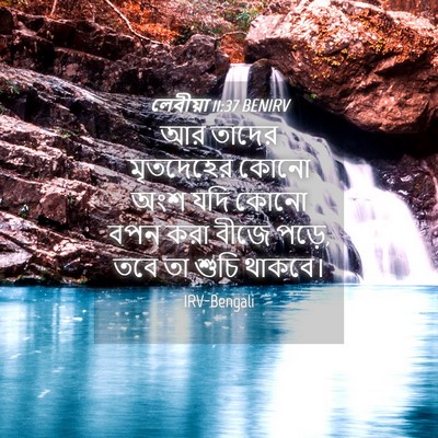 Picture 04 - লেবীয়া 11:37 BENIRV - আর তাদের মৃতদেহের - Bible Verse Picture