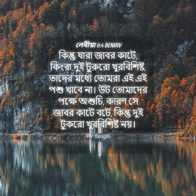 Picture 04 - লেবীয়া 11:4 BENIRV - কিন্তু যারা জাবর - Bible Verse Picture