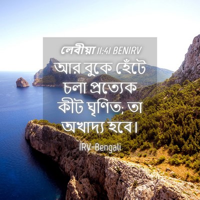 Picture 04 - লেবীয়া 11:41 BENIRV - আর বুকে হেঁটে চলা - Bible Verse Picture