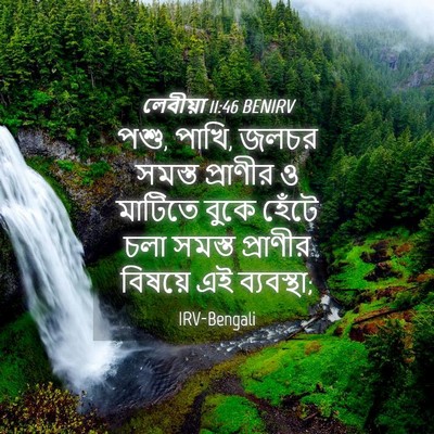 Picture 04 - লেবীয়া 11:46 BENIRV - পশু, পাখি, জলচর - Bible Verse Picture