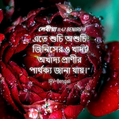 Picture 04 - লেবীয়া 11:47 BENIRV - এতে শুচি অশুচি - Bible Verse Picture