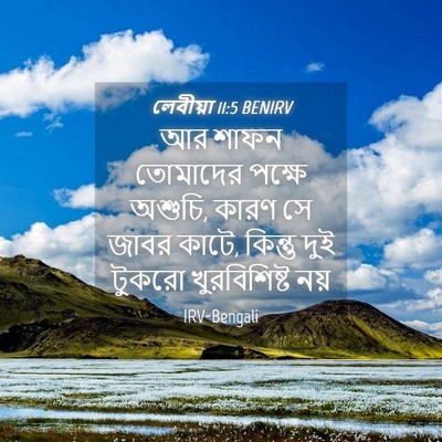 Picture 04 - লেবীয়া 11:5 BENIRV - আর শাফন তোমাদের - Bible Verse Picture